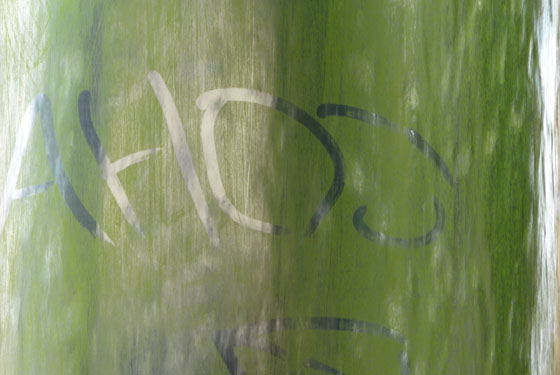 Algae writing