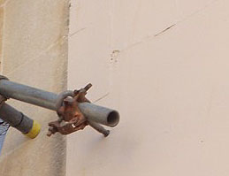 Scaffold fixing