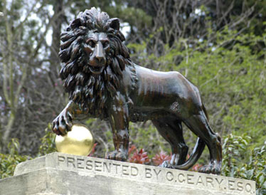 Front of lion