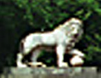 Unrestored lion